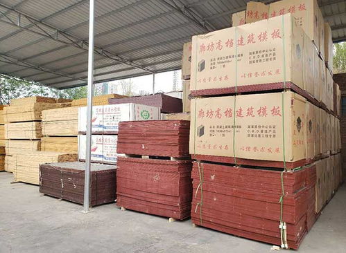 邯鄲建筑模板批發(fā)與建筑砌塊銷售 河北閩能廠家的專業(yè)供應(yīng)服務(wù)