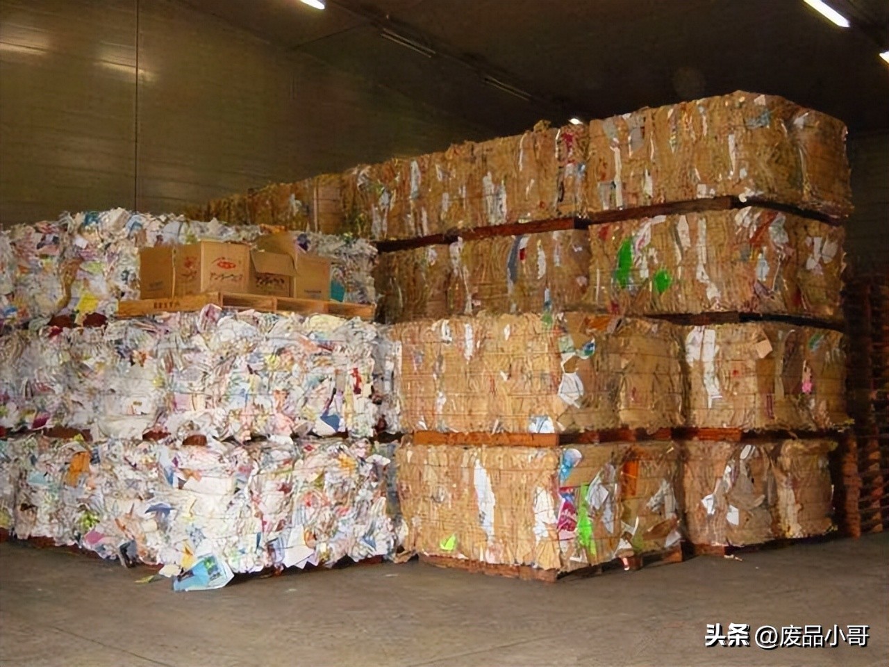 湖北廢紙價格最新行情與市場趨勢全面解析